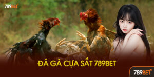 Đá Gà Cựa Sắt Là Gì? Khác Gì Với Đá Gà Thường?